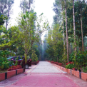 Image Gallery of Coorg Little Jungle Homestay