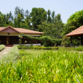 Image Gallery of Coorg Little Jungle Homestay