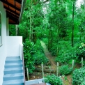 Image Gallery of Nature Kingdom Homestay