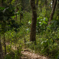 Image Gallery of Elakki Valley Retreat