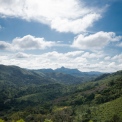 Image Gallery of Elakki Valley Retreat