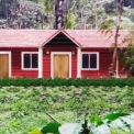 Image Gallery of Canopy Green Estate Homestay