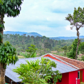 Image Gallery of Red Roof Homestay