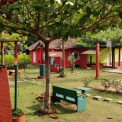 Image Gallery of Benakanur Estate Homestay