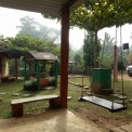 Image Gallery of Benakanur Estate Homestay