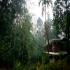 Image Gallery of Falling Waters Resort