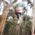 Image Gallery of Falling Waters Resort