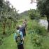 Image Gallery of Falling Waters Resort