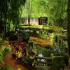 Image Gallery of Falling Waters Resort