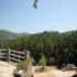 Image Gallery of Captains Bungalow