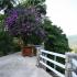 Image Gallery of Captains Bungalow