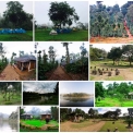 Image Gallery of Muccole Homestay