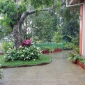 Image Gallery of Nesting Grounds