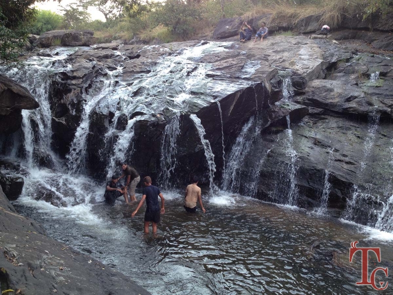 Nesting Grounds Homestay in Chikmagalur - Online rooms reservation for ...