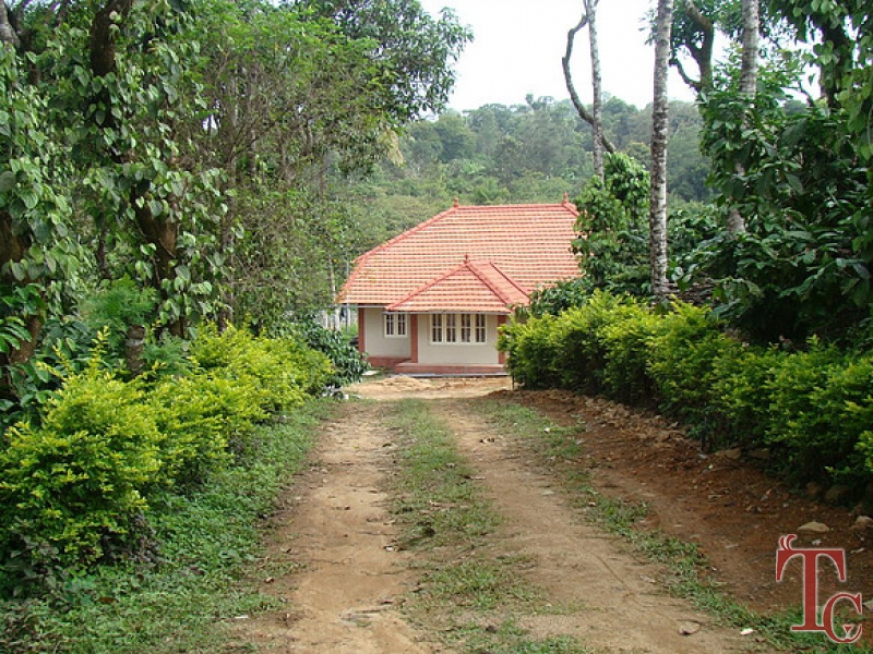 Abby Dhama Estate in Coorg | Book Rooms at Abby Dhama Homestay Online | Packages at Abby Dhama Stay near Abby Falls