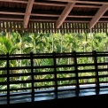 Image Gallery of Saaranga Homestay