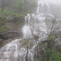 Image Gallery of Saaranga Homestay