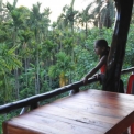 Image Gallery of Saaranga Homestay