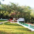 Image Gallery of Coffee Terrain Estate Homestay