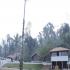 Image Gallery of Coffee Terrain Estate Homestay