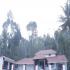 Image Gallery of Coffee Terrain Estate Homestay