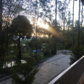 Image Gallery of Lakeview Nest Homestay