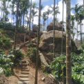 Image Gallery of Lakeview Nest Homestay