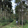 Image Gallery of Lakeview Nest Homestay