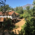 Image Gallery of Devigiri Estate Homestay