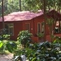 Image Gallery of Devigiri Estate Homestay