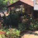 Image Gallery of Devigiri Estate Homestay