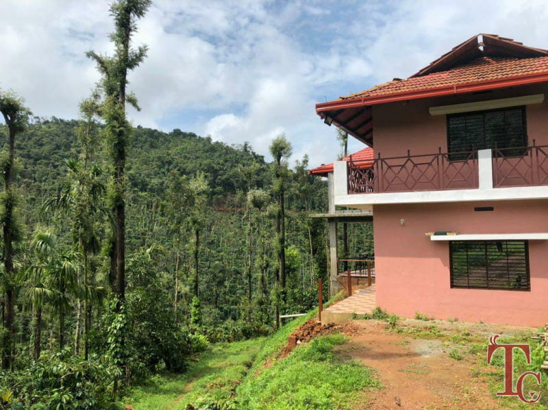 Aayan Valley