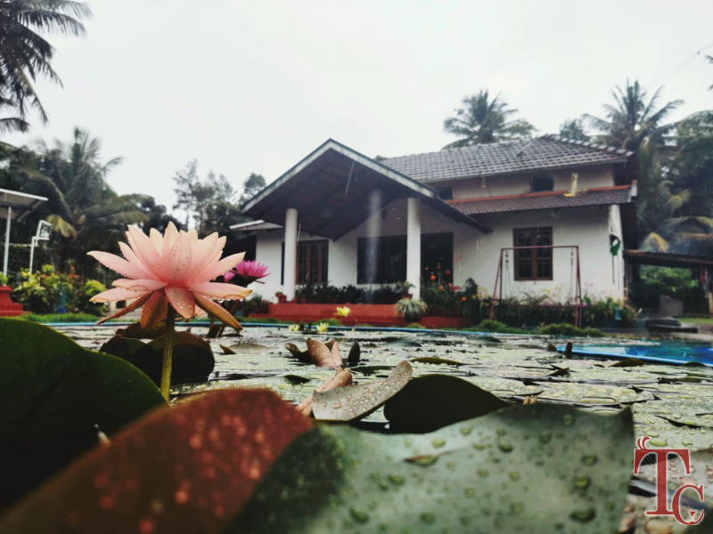 Green Inn Homestay