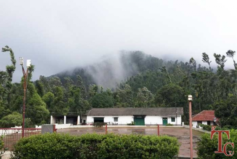 Shiveka Homestay