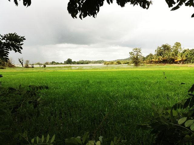 Malnad Homestays Packages