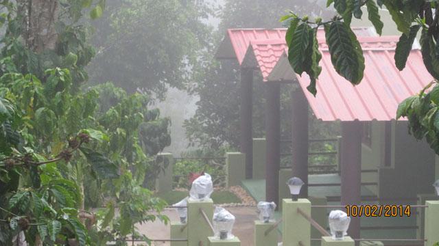 Green Park Homestay