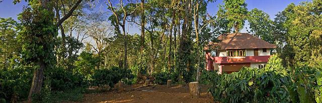 Chingaara Estate Homestay