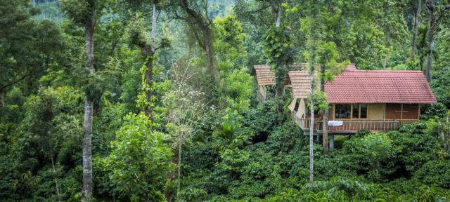 Coffee County Resort