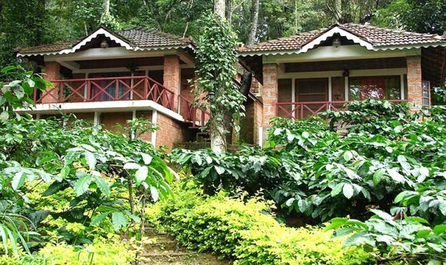 Forest Flower Homestay