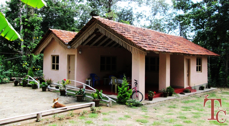 Forest Homestay