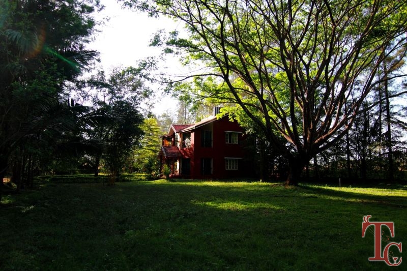 Jungle Inn Resort