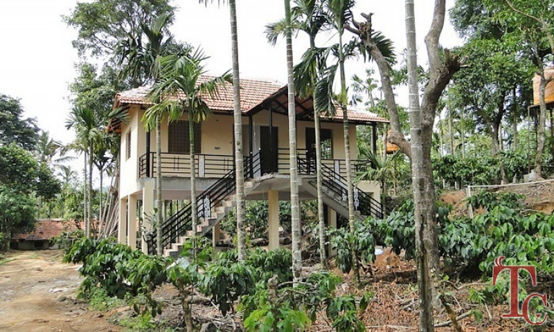 Milky Mist Homestay