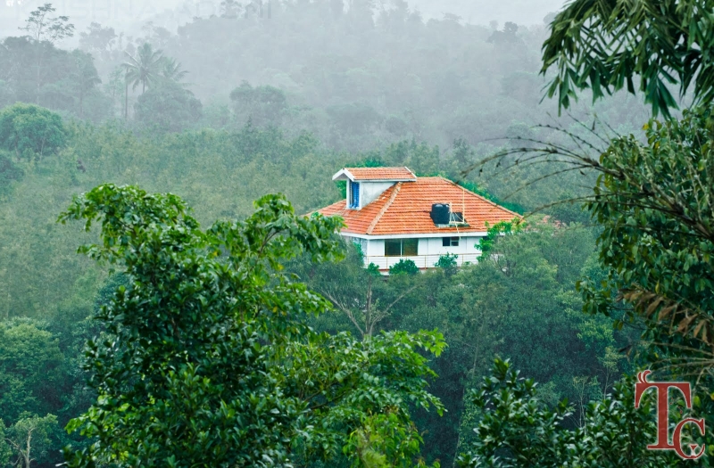 Cloud Alley Homestay