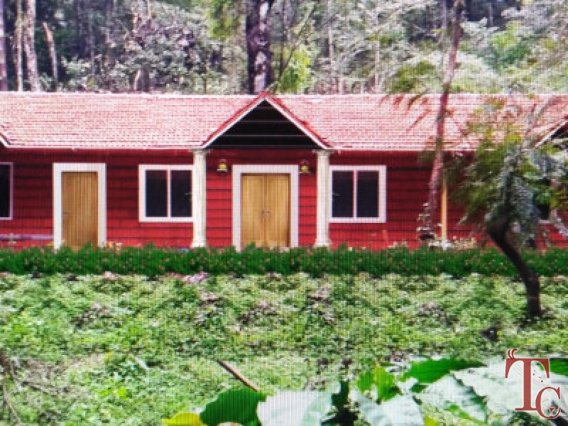 Canopy Green Estate Homestay