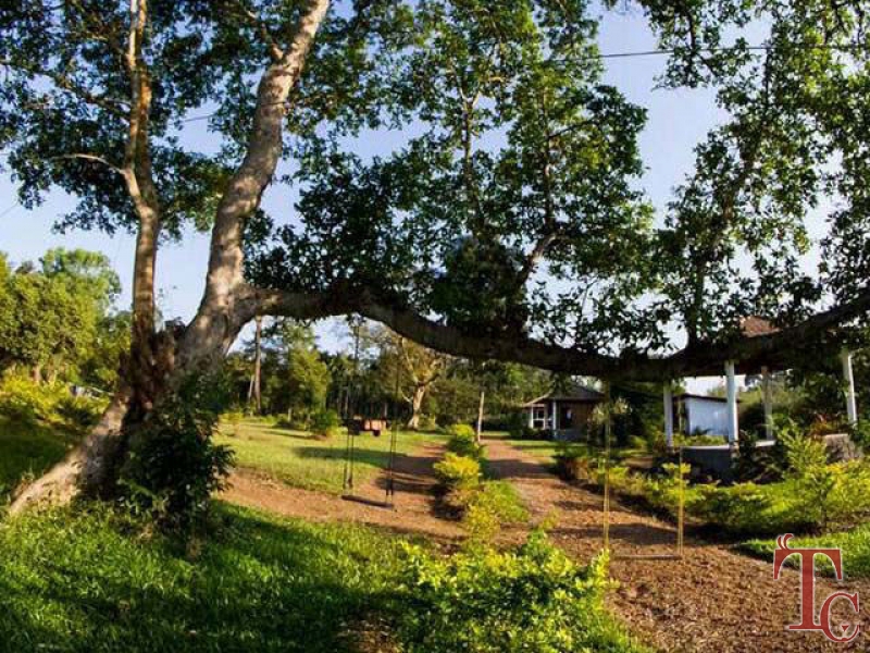 Muccole Homestay