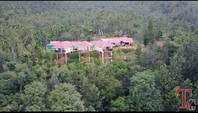 The Mellows Homestay
