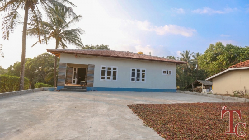 Vruksha Homestay