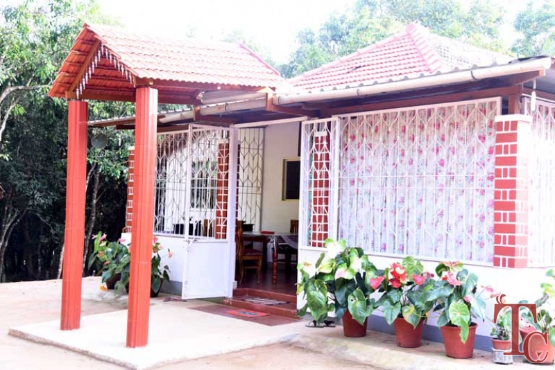 Birds Nest Homestay