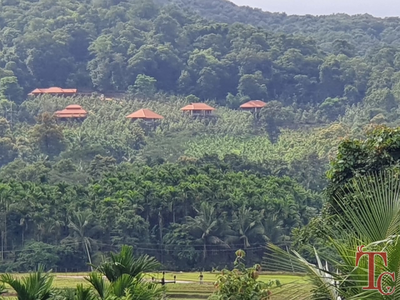 Forest Edge Resort